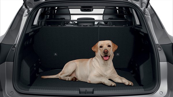 seuil sur mesure et en inox - accessoires - Renault Austral E-Tech full hybrid