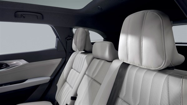 coussins grand confort sur appuie-tête